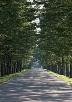 仙台市にあるマドレクリニックについて